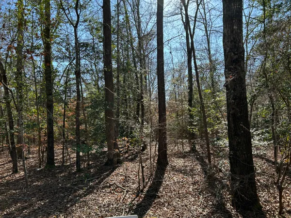 $11,000 | Lot 88 Coach Road, Cheraw, SC 29520