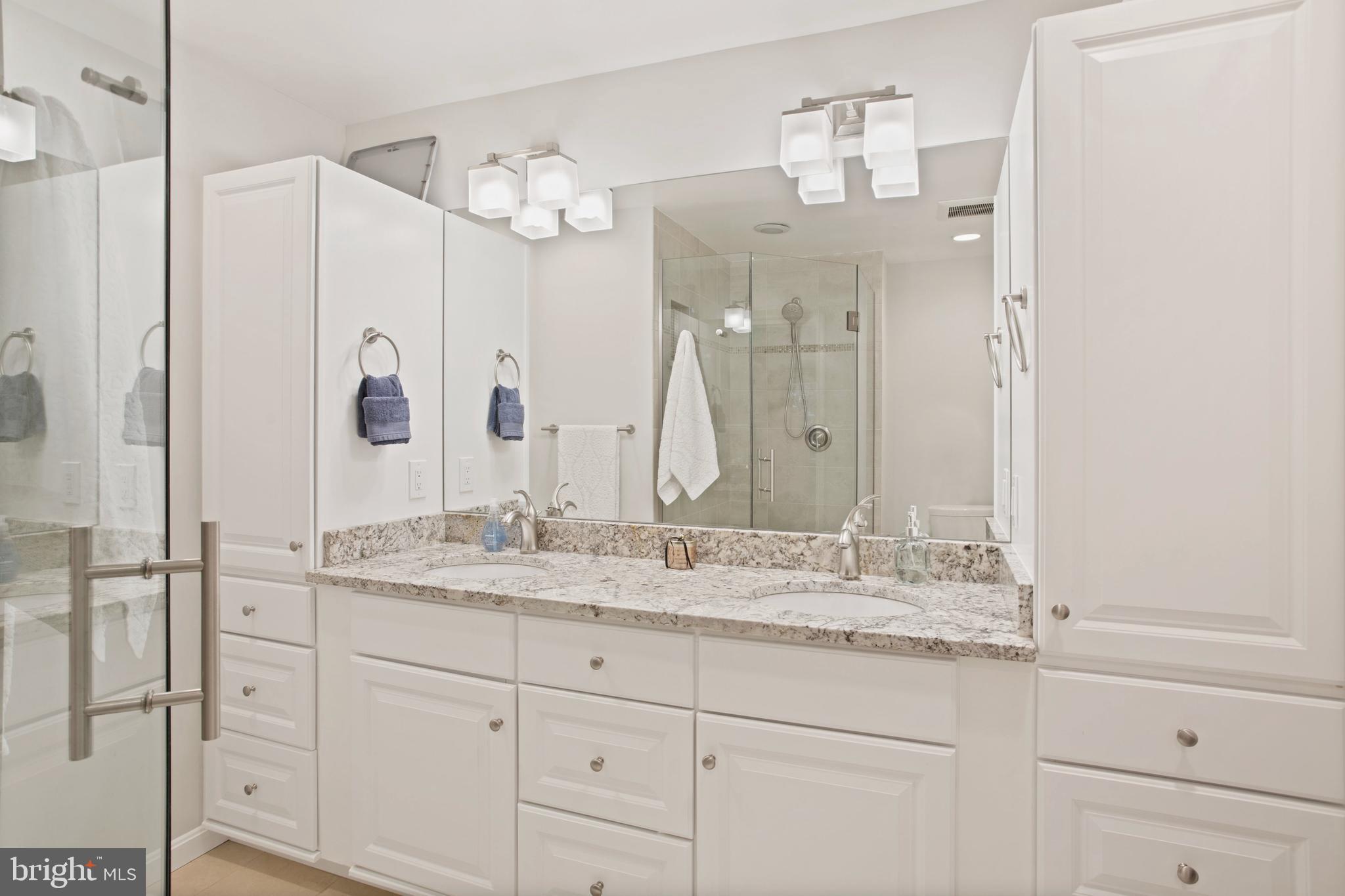 2151 Pond View Court Reston, VA 20191 - Photo 18 of 38 WOW - Incredible primary bath renovations