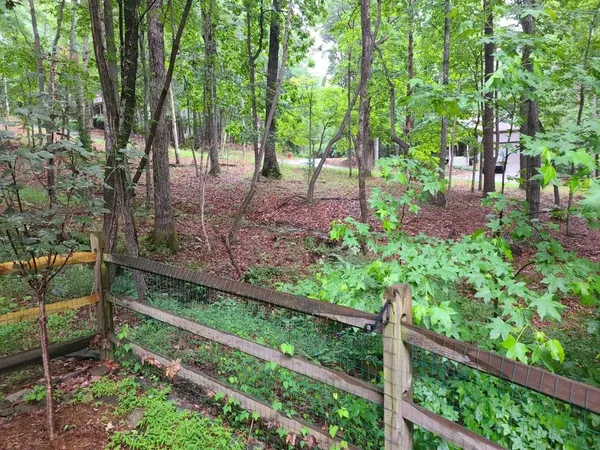 a view of a backyard with wooden fence