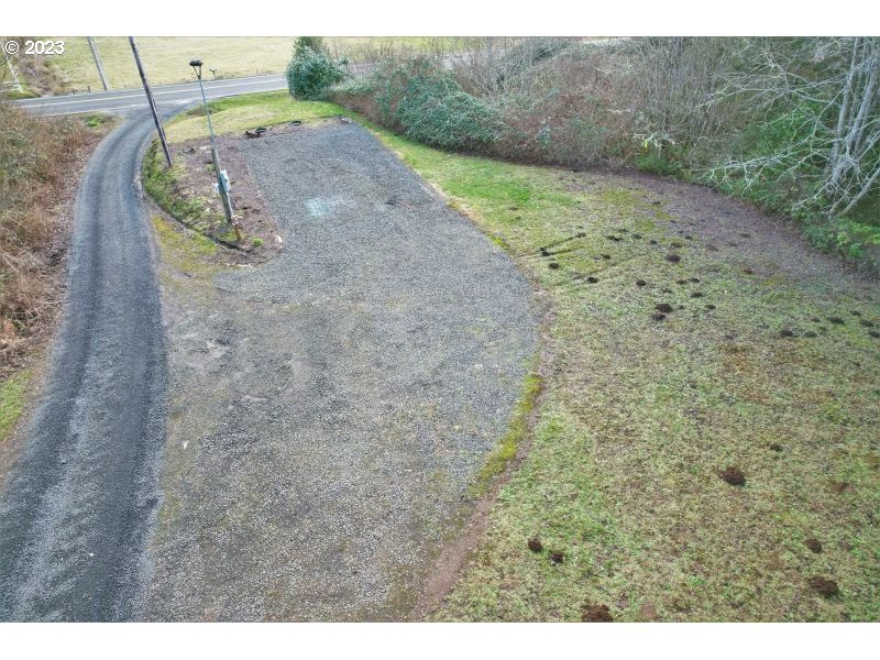 92831 Walluski Loop Astoria, OR 97103 - Photo 5 of 32 a view of a dry yard with trees