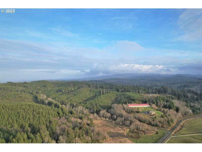 92831 Walluski Loop Astoria, OR 97103 - Photo 9 of 32 a view of a city with lush green forest