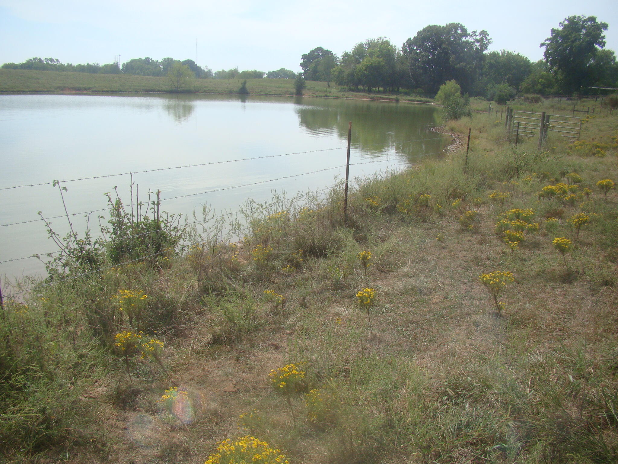 170 Wharton Road, Unit 170 Cadiz, KY 42211 - Photo 6 of 6 DSC03683