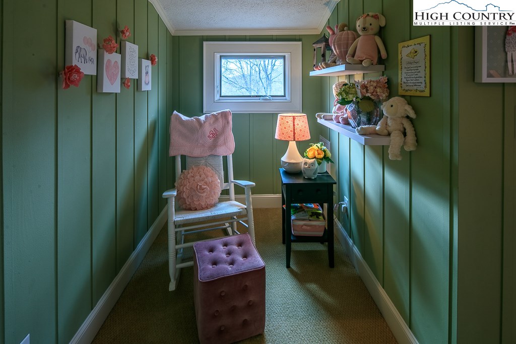 678 Schaffer Road Boone, NC 28607 - Photo 24 of 47 Gallery Image 24