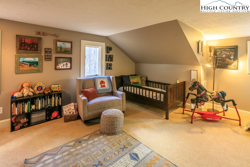 678 Schaffer Road Boone, NC 28607 - Photo 29 of 47 Gallery Image 29