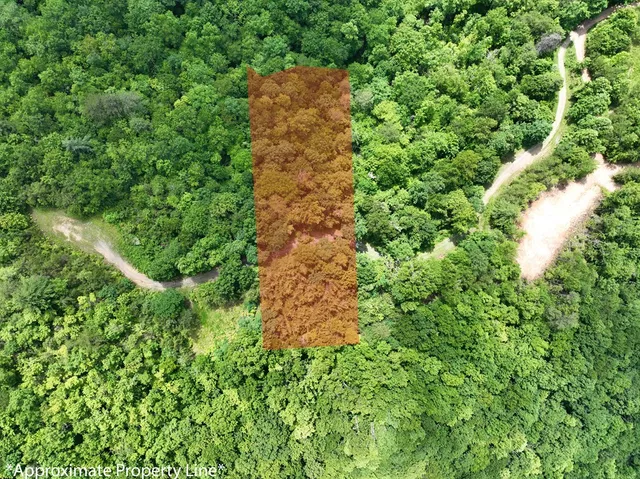 an aerial view of a garden with plants