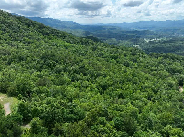 an aerial view of a houses with a yard
