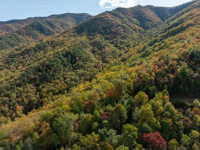 a view of a houses with a yard