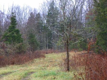 1 Piney Grove Road Somerset, KY 42501 - Photo 1 of 2 Primary Photo