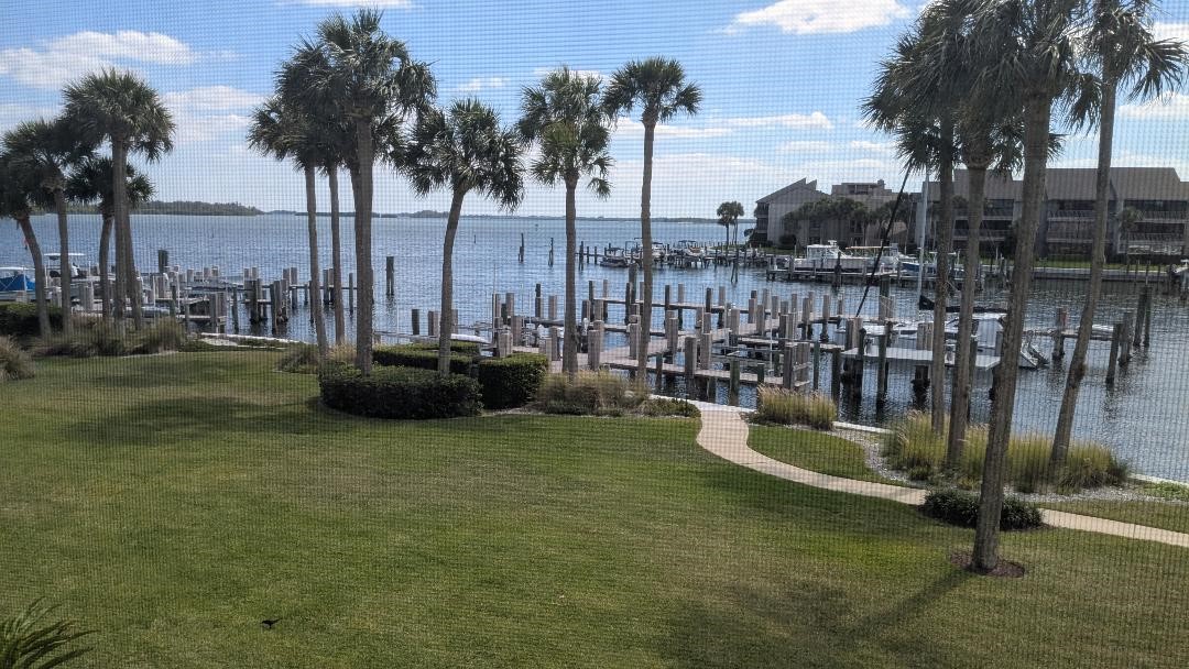 1903 Bay Road, Unit 206 Vero Beach, FL 32963 - Photo 1 of 30 a view of a lake with a palm trees