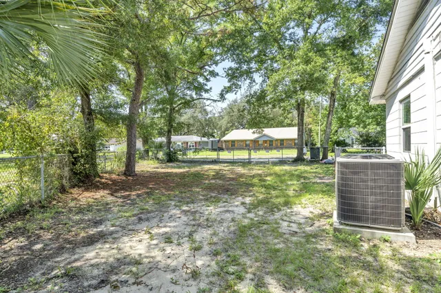 a view of a yard with plants and trees