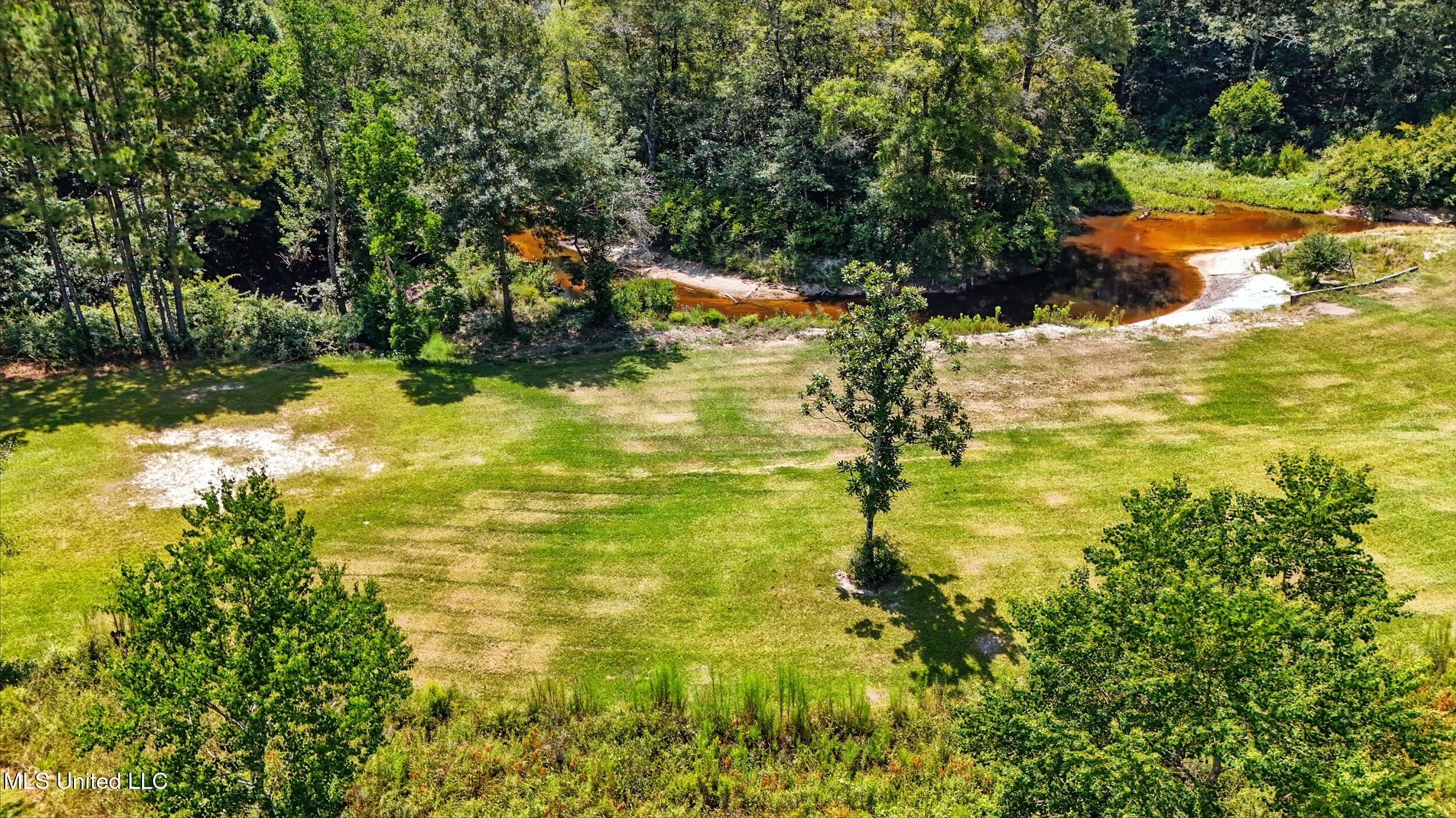 30 Jack Holston Road Lumberton, MS 39455 - Photo 36 of 49 36_creek 1