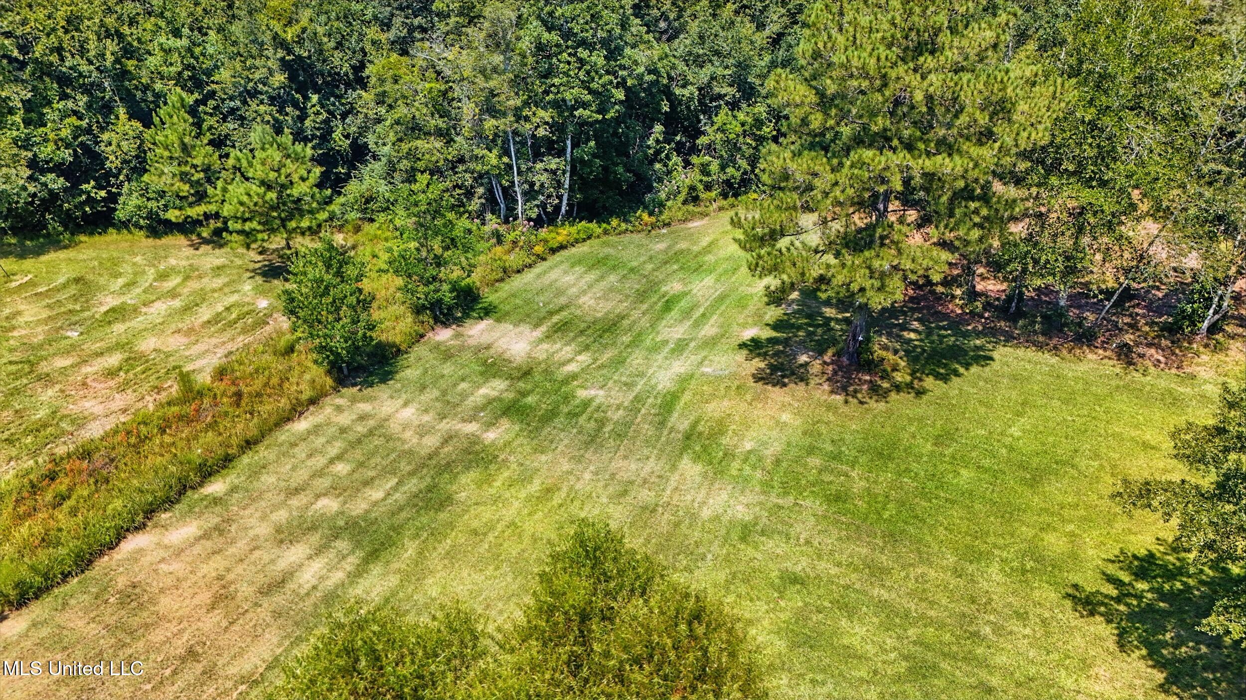 30 Jack Holston Road Lumberton, MS 39455 - Photo 40 of 49 40_field 2