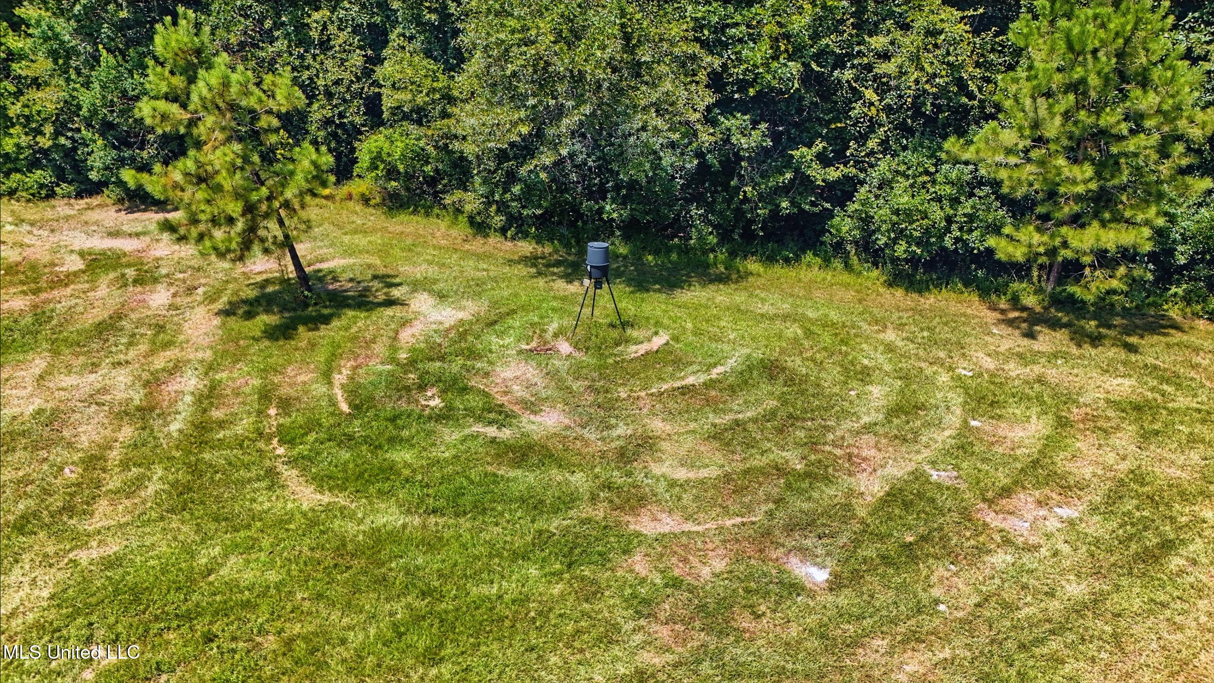 30 Jack Holston Road Lumberton, MS 39455 - Photo 41 of 49 41_field 3