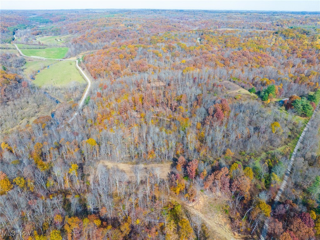 Hambel Road Malta, OH 43758 - Photo 1 of 49 Aerial overview of property's location featuring a forest