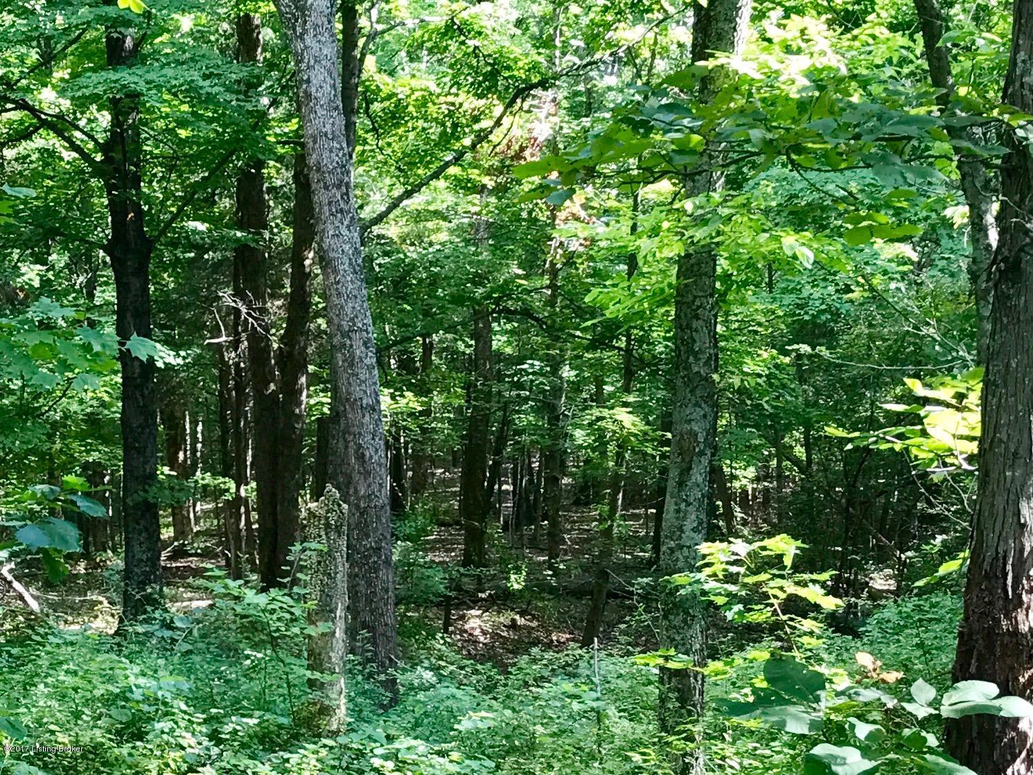 2300 Ridge Road Pendleton, KY 40055 - Photo 3 of 6 wooded area
