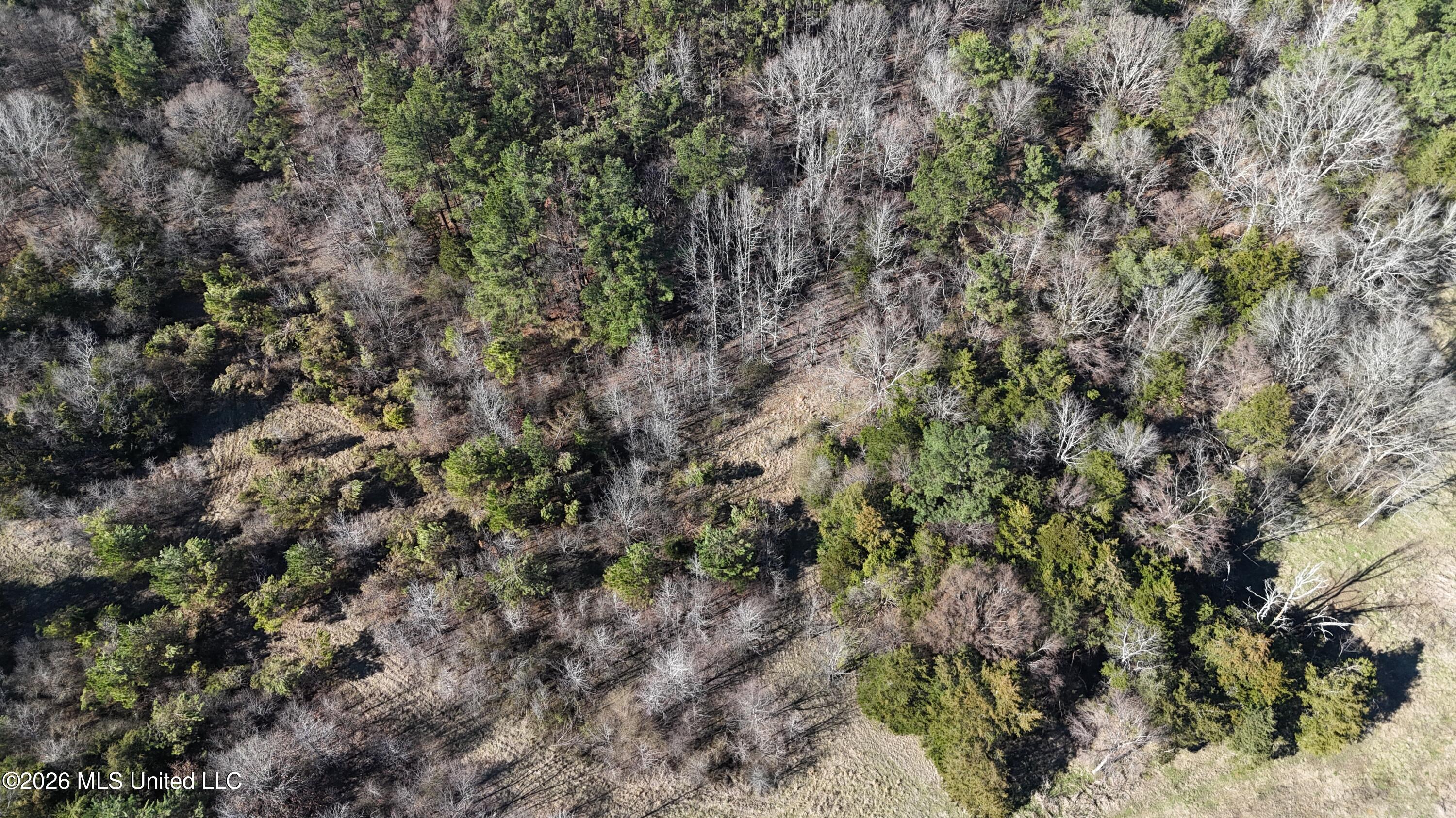 3736 Wyatte-Tyro Road Senatobia, MS 38668 - Photo 18 of 20 DJI_20260227153931_0849_D