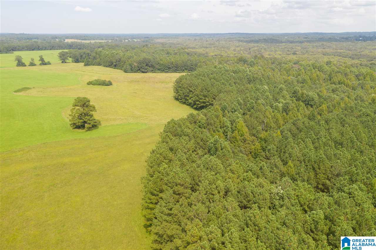 205 County Road 3 Reform, AL 35481 - Photo 21 of 46