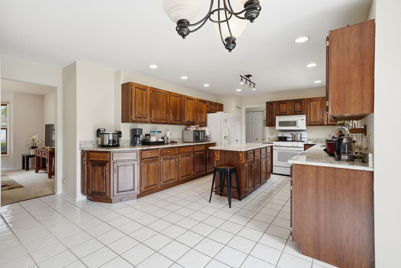 930 Ripple Brook Lane Elgin, IL 60120 - Photo 9 of 43
