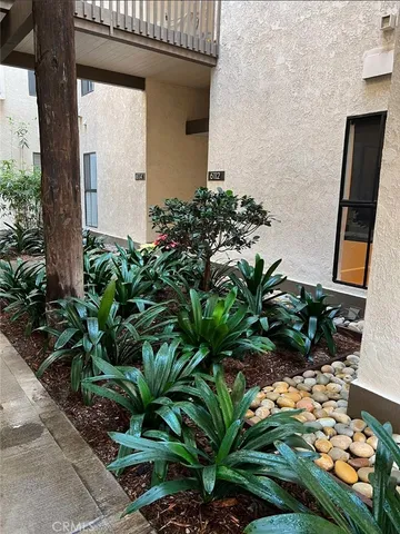 a plant that is in front of a house