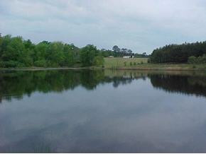 1890 Ranger Road Warrenton, GA 30828 - Photo 1 of 1 Main View