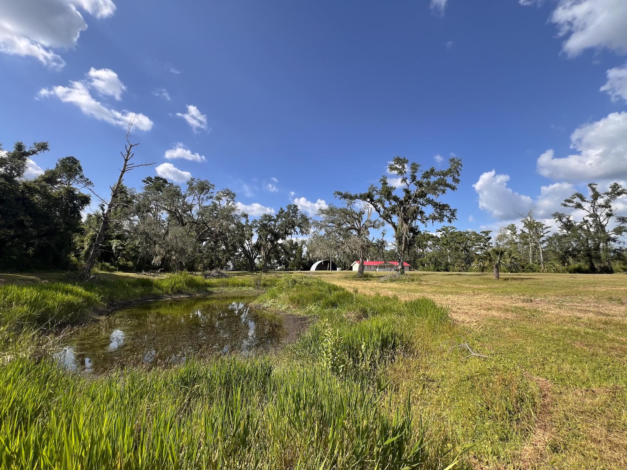 2048 Gas Plant Road Perry, FL 32347 - Photo 34 of 39