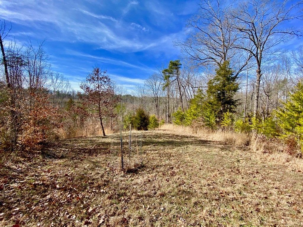 587 Schultz Mill Road Meherrin, VA 23954 - Photo 50 of 70 Gallery Image 50