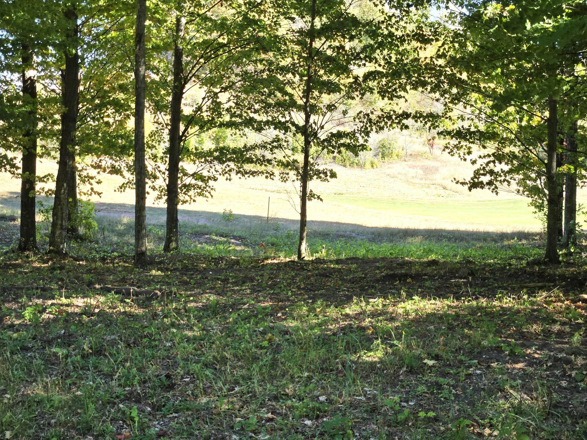 20 Heather Ridge Trail Beulah, MI 49617 - Photo 6 of 11