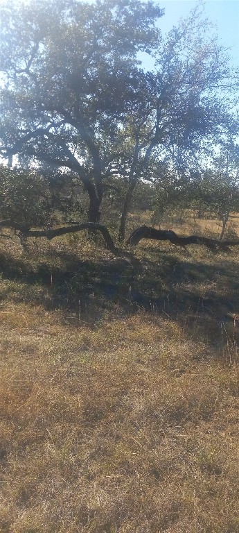 Tbd Winnie Smith Road Round Mountain, TX 78663 - Photo 22 of 30