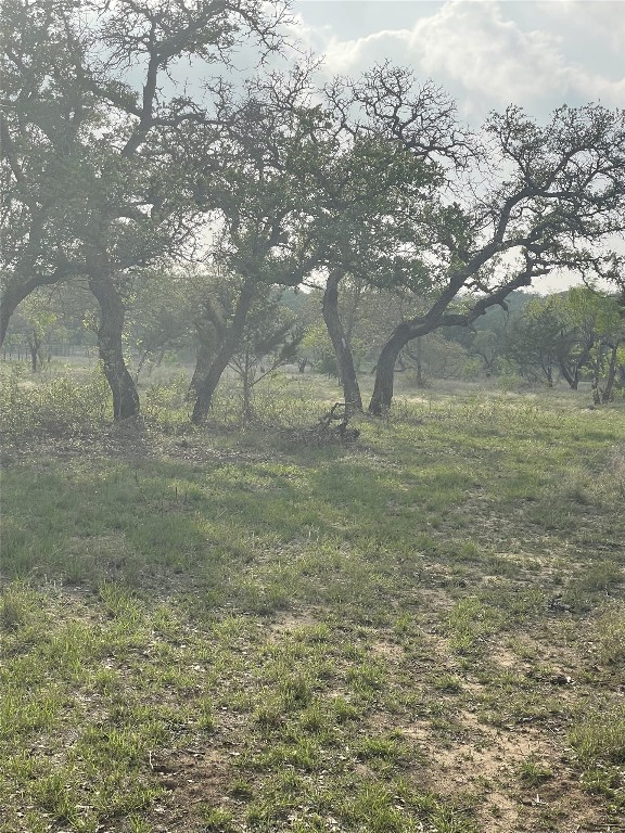 Tbd Winnie Smith Road Round Mountain, TX 78663 - Photo 23 of 30