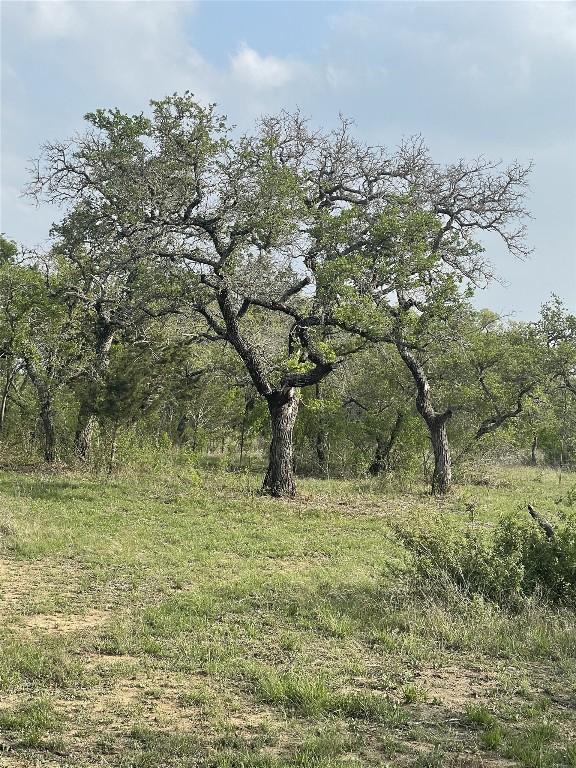 Tbd Winnie Smith Road Round Mountain, TX 78663 - Photo 25 of 30