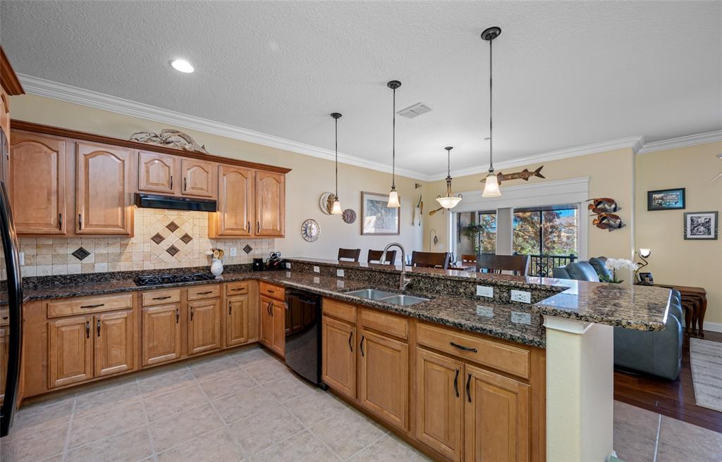 6523 Sand Shore Lane New Port Richey, FL 34652 - Photo 14 of 91