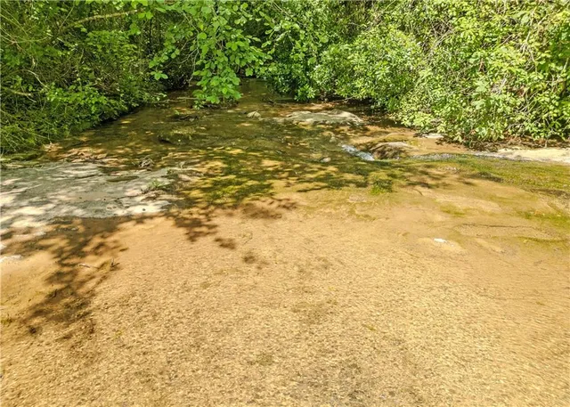 a view of outdoor space with trees