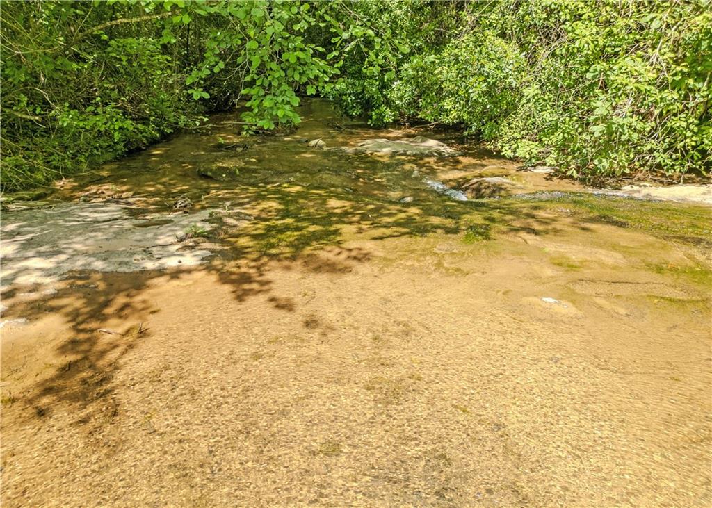 184 Scott Circle Toccoa, GA 30577 - Photo 51 of 52 a view of a yard with a tree