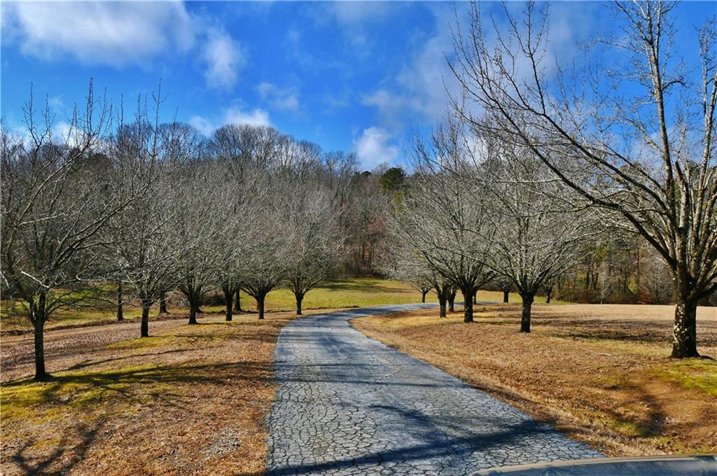 184 Scott Circle Toccoa, GA 30577 - Photo 52 of 52 a view of outdoor space with trees