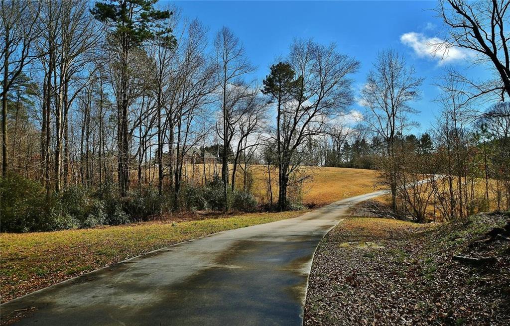 184 Scott Circle Toccoa, GA 30577 - Photo 8 of 52 a view of backyard space