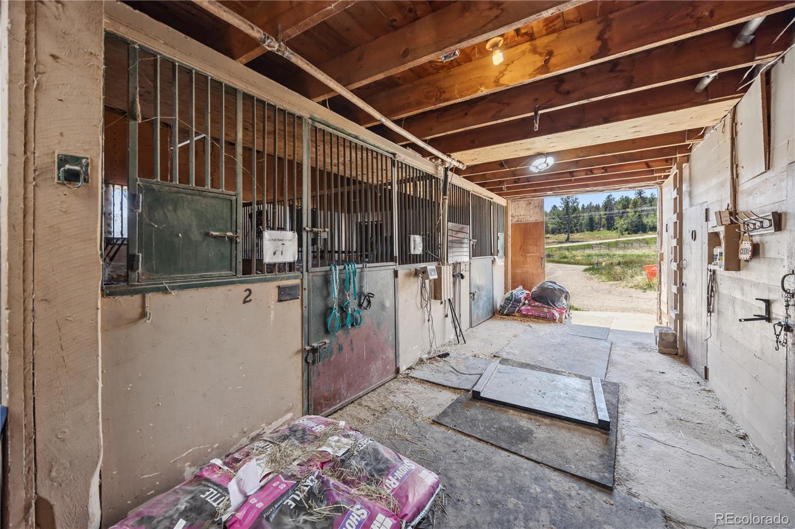 23615 Oehlmann Park Road Conifer, CO 80433 - Photo 24 of 50 Gallery Image 24