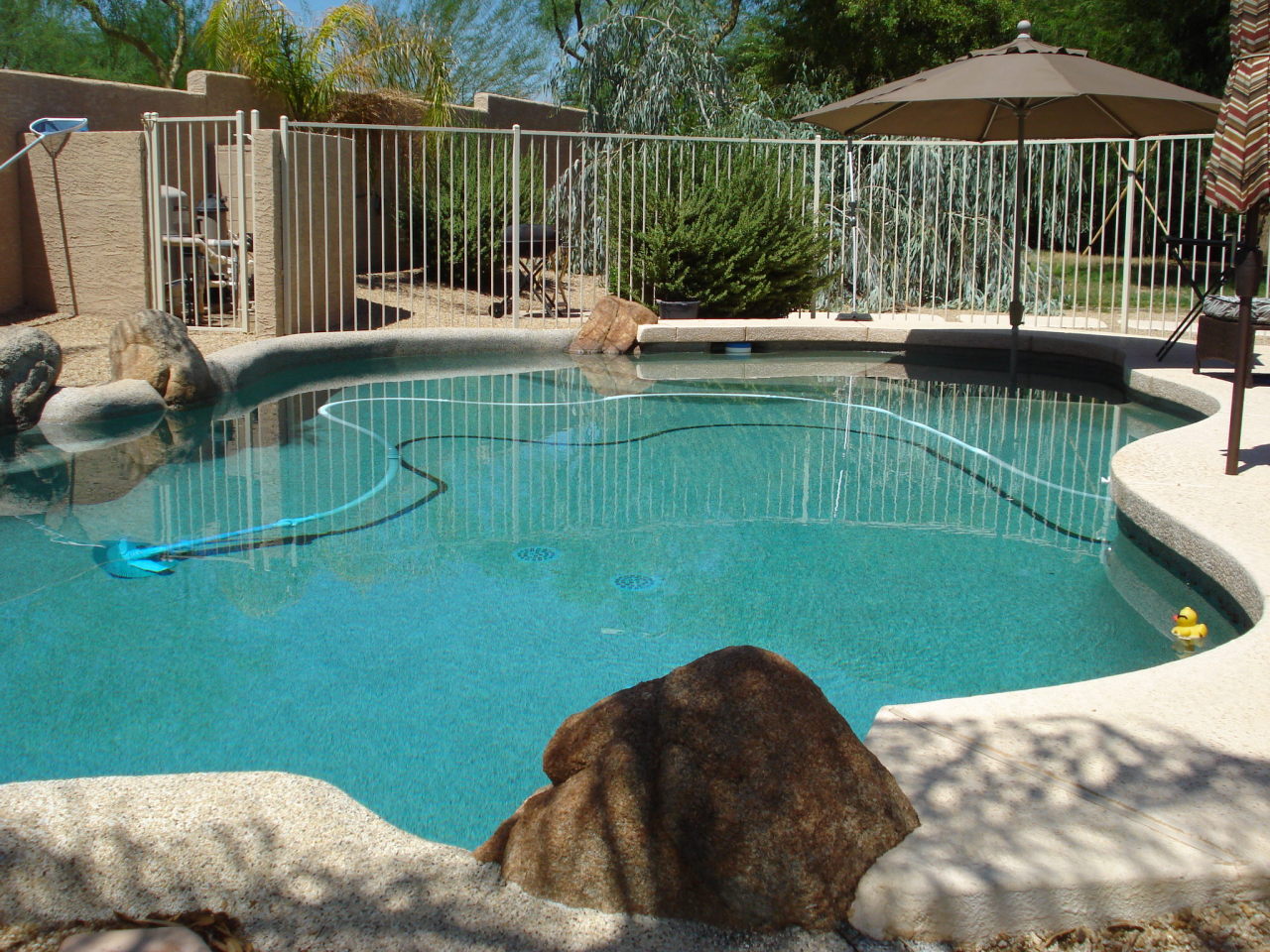 4201 East Raven Road Phoenix, AZ 85044 - Photo 10 of 12 POOL