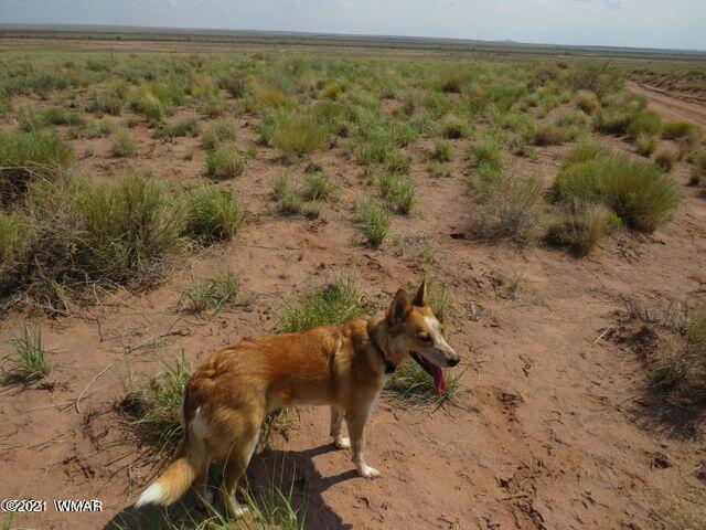 85 & 112 Holbrook, AZ 86029 - Photo 11 of 13