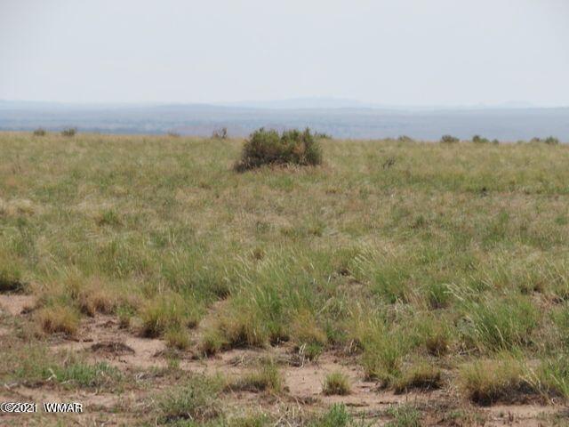 85 & 112 Holbrook, AZ 86029 - Photo 3 of 13