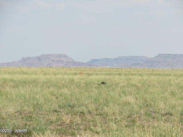 85 & 112 Holbrook, AZ 86029 - Photo 5 of 13