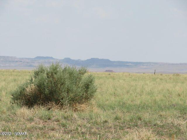 85 & 112 Holbrook, AZ 86029 - Photo 6 of 13
