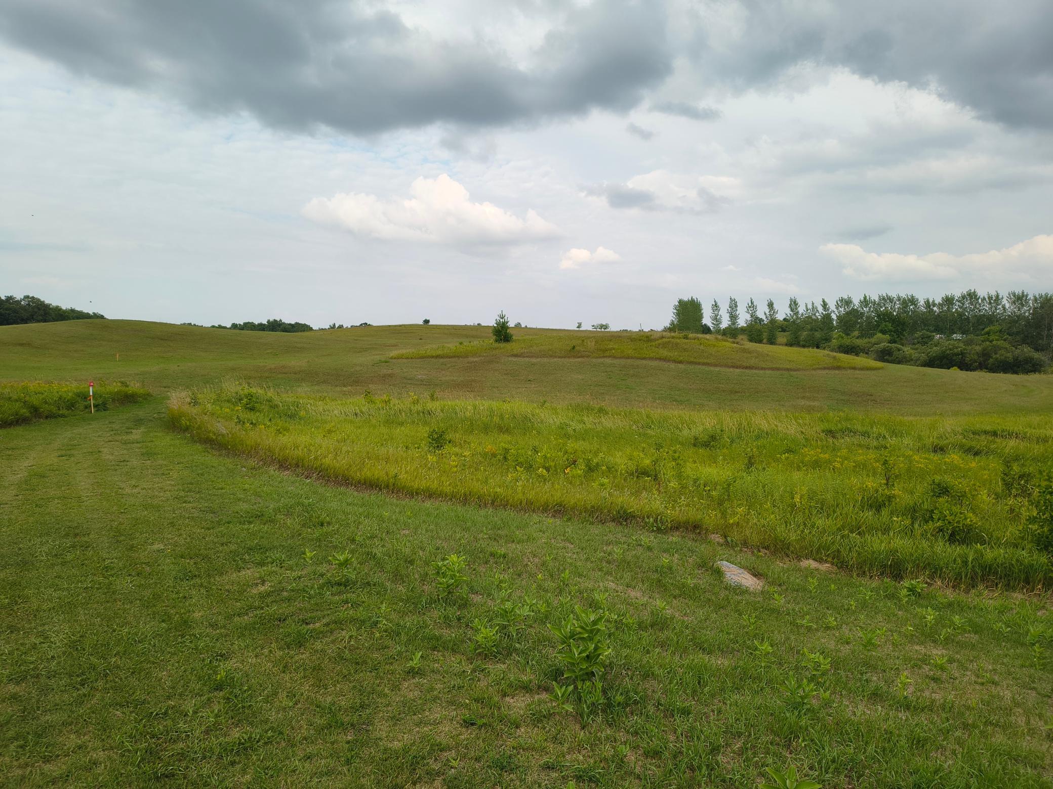 Tbd Buckskin Road Northeast Alexandria, MN 56308 - Photo 2 of 12 Gallery Image 2