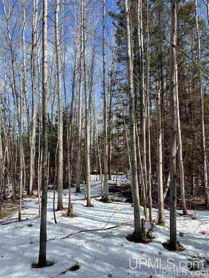 Tbd Tbd Co Road, Unit 1 Marquette, MI 49855 - Photo 36 of 50
