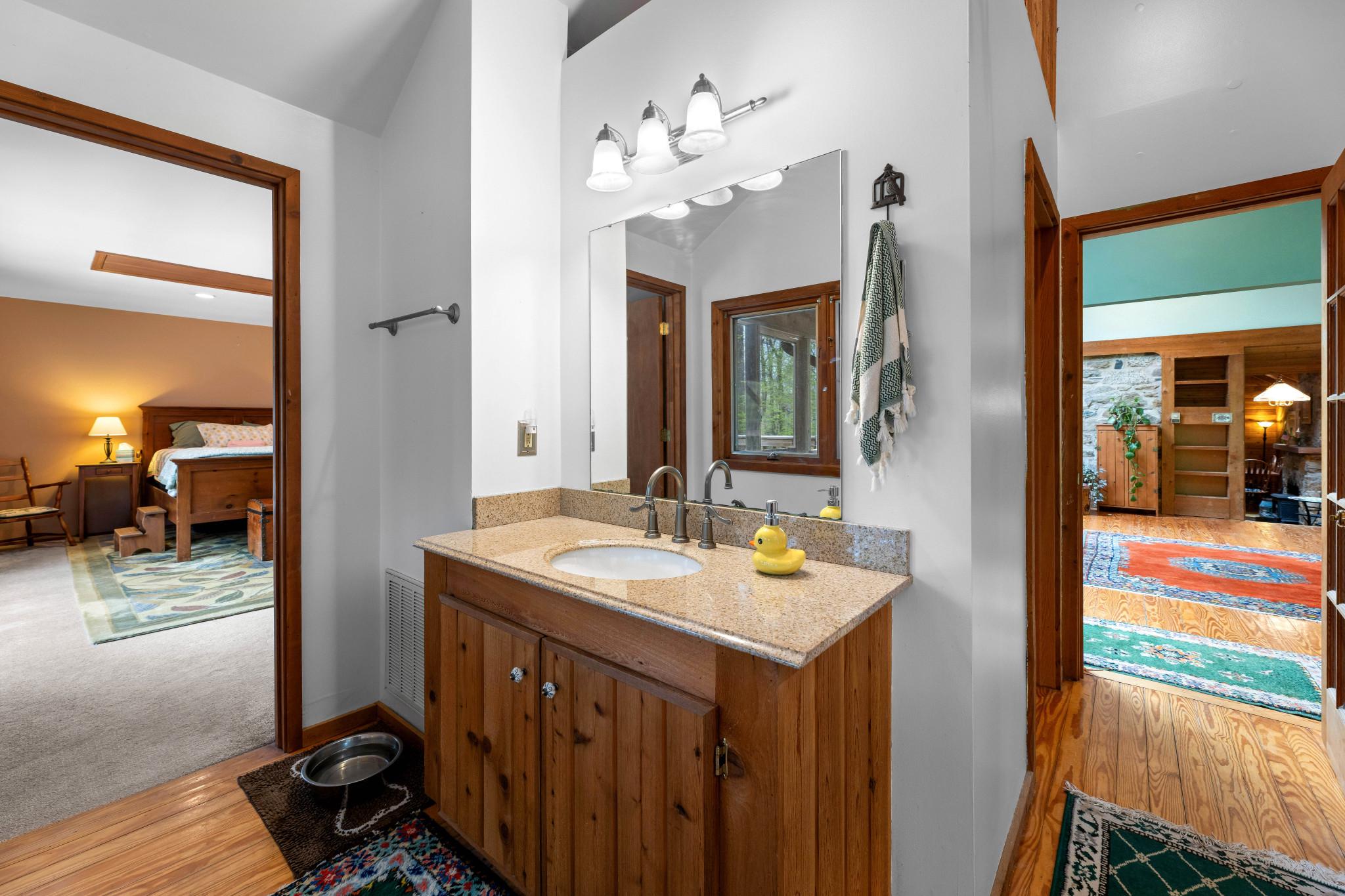 902 Harris Hollow Road Washington, VA 22747 - Photo 20 of 54 a bathroom with a sink a vanity and a mirror