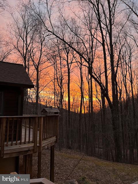 902 Harris Hollow Road Washington, VA 22747 - Photo 2 of 9 Serene sunset through the trees.