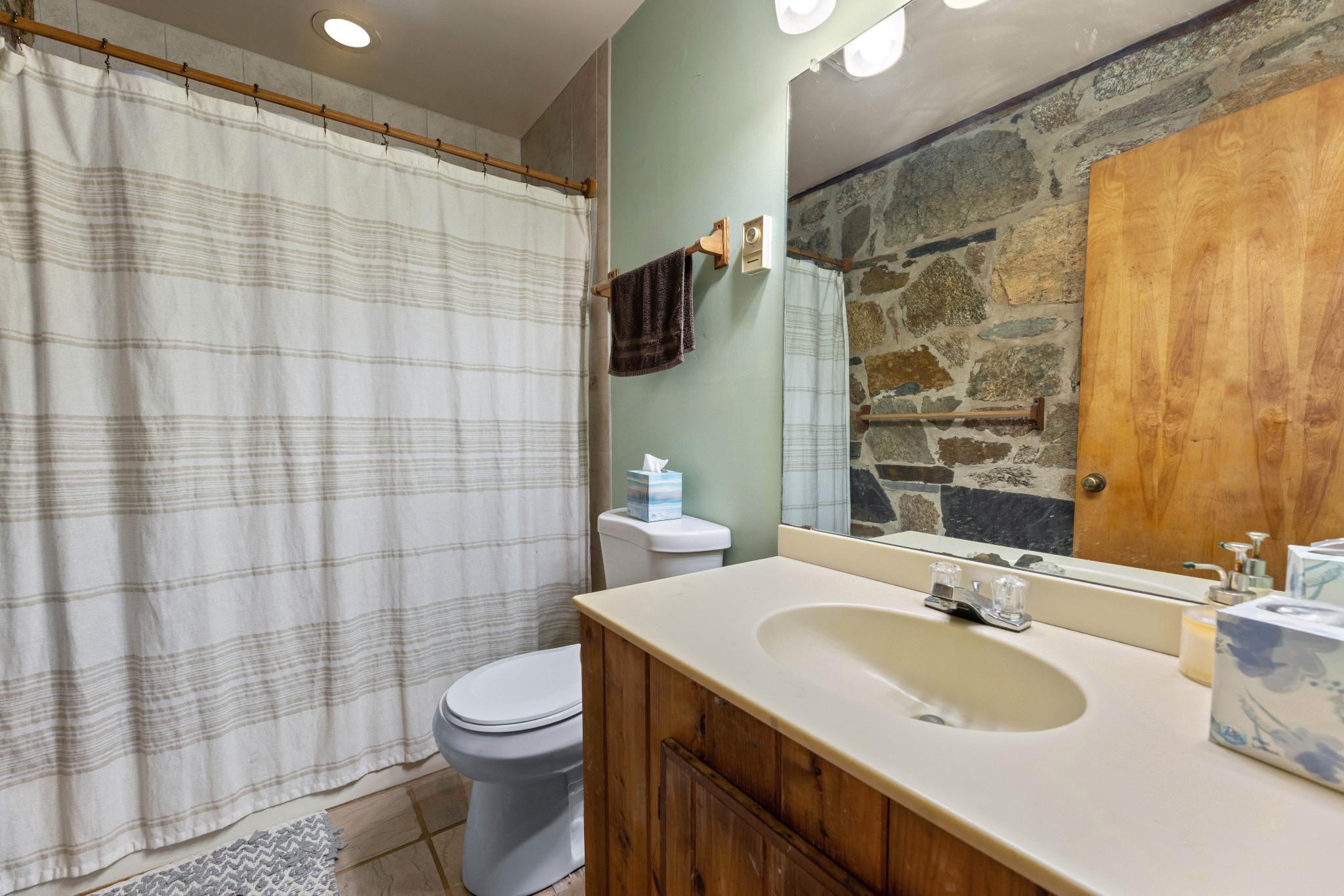 902 Harris Hollow Road Washington, VA 22747 - Photo 21 of 54 a bathroom with a sink toilet and shower