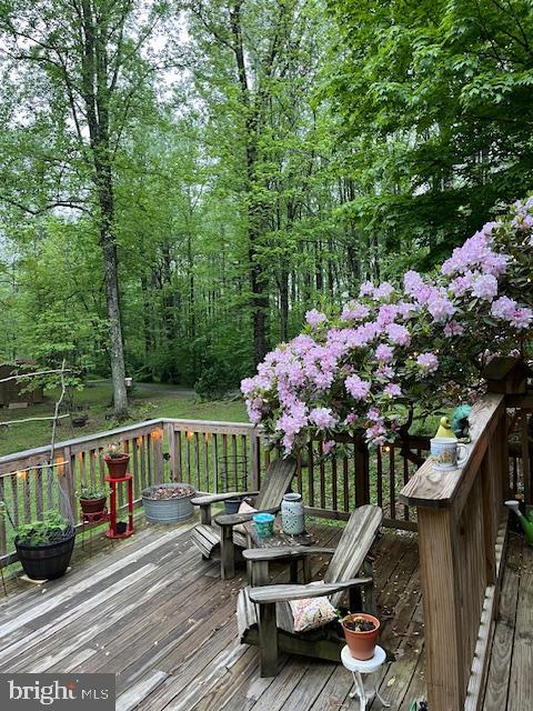 902 Harris Hollow Road Washington, VA 22747 - Photo 3 of 9 Front deck embraced by blooming lilacs.