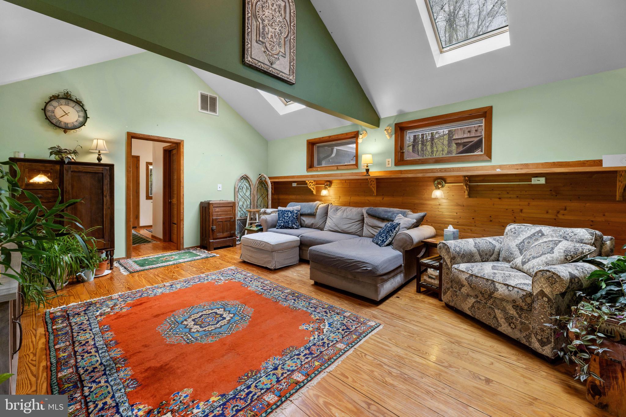 902 Harris Hollow Road Washington, VA 22747 - Photo 5 of 54 a living room with furniture and a potted plant
