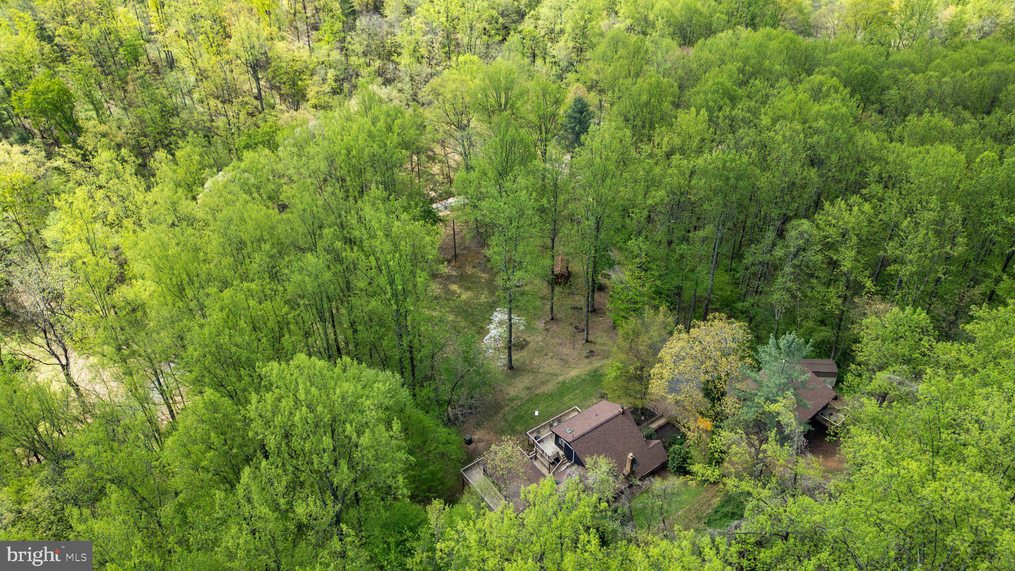 902 Harris Hollow Road Washington, VA 22747 - Photo 52 of 54 a view of a yard in a field