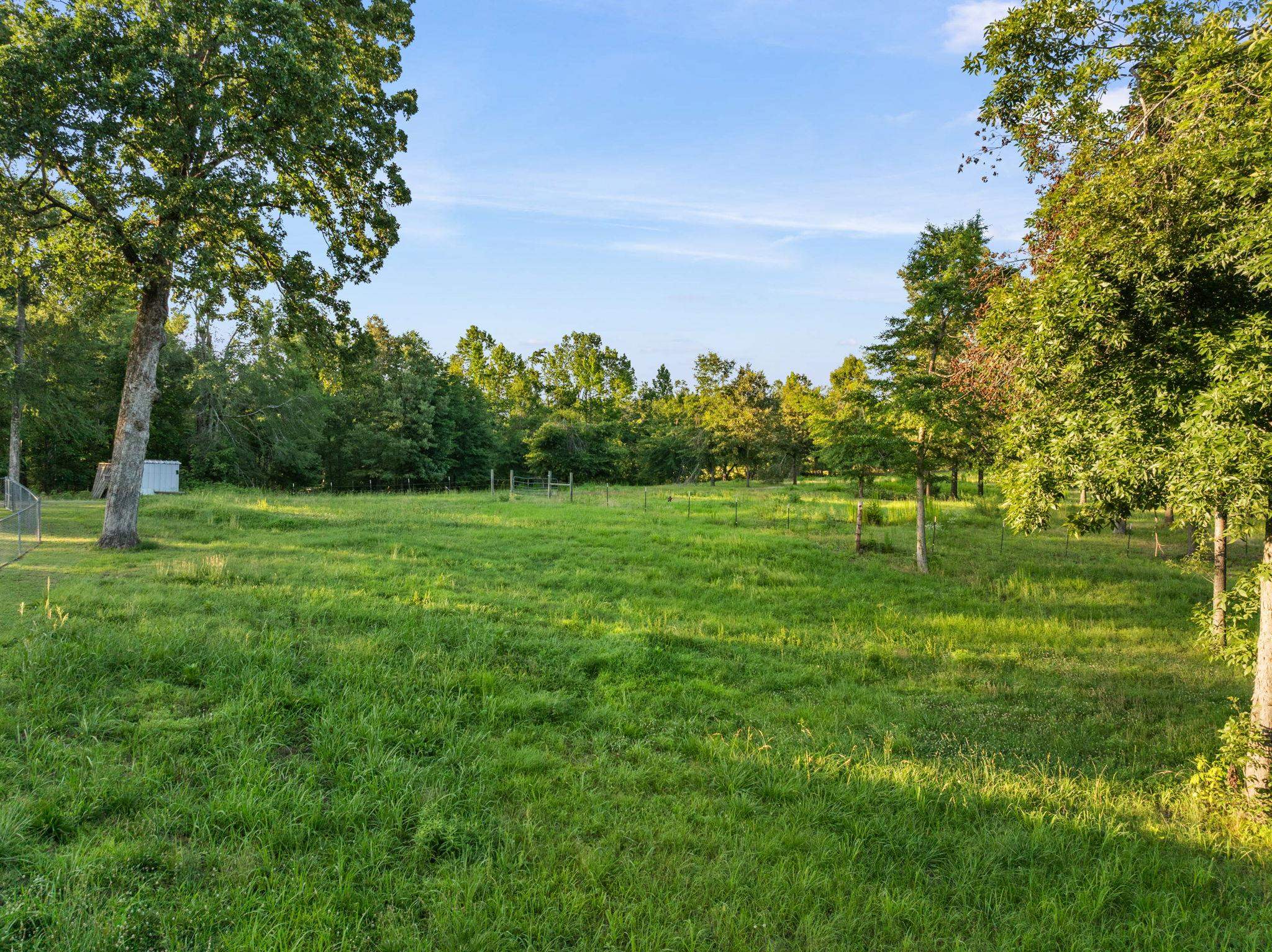 66 County Road 511 Corinth, MS 38834 - Photo 35 of 40 Expansive grassy field with scattered mature trees and distant perimeter fencing